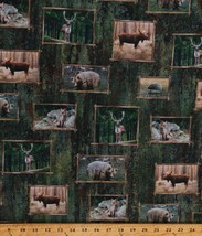 Cotton Northwoods Woodland Animals Green Fabric Print by the Yard D471.52 - £10.15 GBP