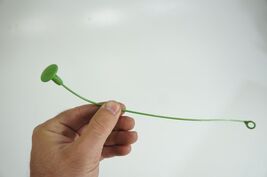 11-16 bmw f10 528i 535i 550i fuel door lock emergency release string pul... - €17,17 EUR