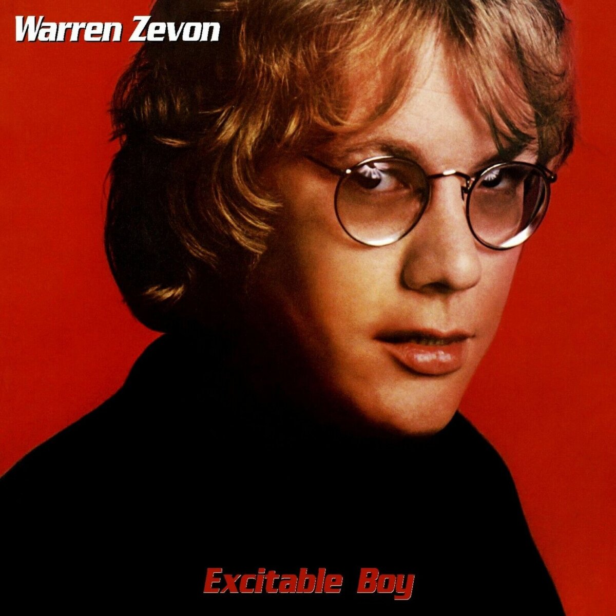 WARREN ZEVON Excitable Boy BANNER HUGE 4X4 Ft Fabric Poster Tapestry Fla... - $22.00