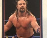 James Storm TNA Trading Card 2013 #15 - £1.54 GBP