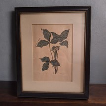 Annarae Anderson Signed Botanical Art Print Black Frame 8 x 10 Jack Pulpit Color - $36.22