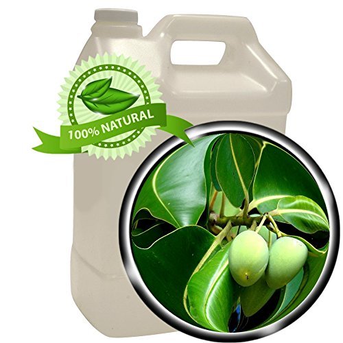 Foraha (Tamanu) Oil- 1 gallon (128 oz) -Virgin, Cold-pressed, Anti-aging,Healing