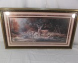 LOCAL PICKUP Majestic Buck in a River Landscape Painting elegant designe... - £25.77 GBP