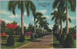 Florida Postcard Stately Palms &amp; Australian Pines - £1.72 GBP