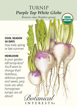 Purple Top White Globe Organic Turnip Seeds 2 Grams USA Seeds Fast Shipping - £17.79 GBP