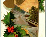Gilt Bells Holly Winter Scene A Merry Christmas Embossed 1908 DB Postcar... - $7.13