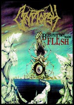 CRYPTOSY Blasphemy Made Flesh FLAG CLOTH POSTER BANNER CD DEATH METAL - $20.00