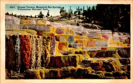 Vintage POSTCARD-HYMAN Terrace, Mammoth Hot Springs,Yellowstone Park, Wy BK27 - £1.55 GBP