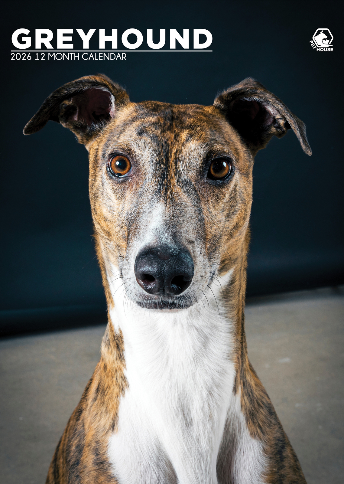 Greyhound Calendar 2026 - $19.99