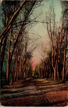 Denver Colorado Road with Trees Posted 1910 Antique Postcard - £5.86 GBP