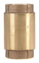 Campbell 1 1/4 in FIP X 1 1/4in FIP Red Brass Spring Check Valve - €56,72 EUR
