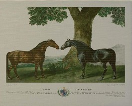 Wall Art Print Bay and Chestnut Horse 58x47 47x58 Asparagus Light Gray Green - £563.07 GBP