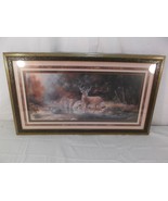 Whitetail Deer Buck In Woods By Creek Matted &amp; Framed 30&quot;X17&quot; BY ARTIST ... - $1,923.31 MXN