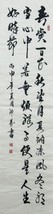 Chinese Calligraphy Hand Brush Painted 53.5”x13.75” Rice Paper 《颂平常心是道》 - $29.91