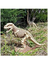 T-Rex Raptor Dinosaur Statue 14.5 inches H 21.5 inches W (a) M24 - $346.50