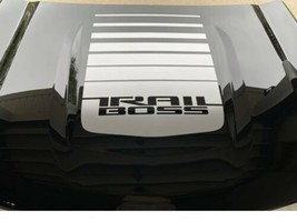 2019 20 21 22 Chevy Silverado TRAIL BOSS Fader Racing Stripe Hood Decal OEM - $49.99