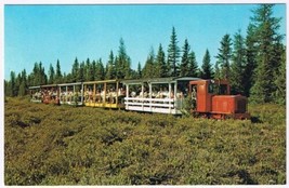 Postcard Toonerville Trolley Tahquamenon Falls Michigan&#39;s Upper Peninsula - $3.95