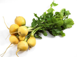 1000 Seeds Golden Ball Turnip Heirloom Yellow Brassica Rapa Root Vegetable  - £7.59 GBP
