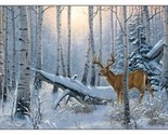 24.5&quot; X 44&quot; Panel Whitetail Deer Woods Forrest Cotton Fabric Panel D388.47 - £7.06 GBP