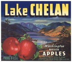 1940&#39;s Lake Chelan Vintage Washington Apple Crate Label, Scenic Old + Authentic - £9.94 GBP