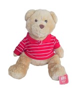 Aeropostale 16” Teddy Holiday Bear AERO Red White Polo Shirt Stuffed Toy... - £17.31 GBP