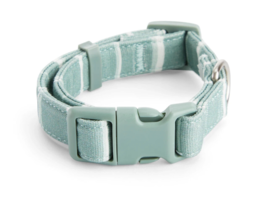 YOULY The Artist Green Striped Small Dog Collar, Medium. By Youly - £10.35 GBP