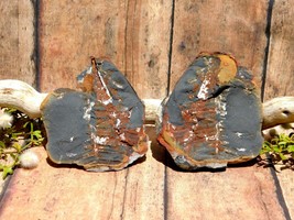 Carboniferous Fern Fossil Leaf in Shale Complete Pair for Collection Dis... - $39.00