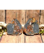 Carboniferous Fern Fossil Leaf in Shale Complete Pair for Collection Dis... - $53.50 CAD