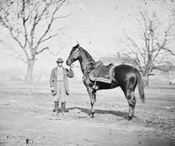 General Ulysses Grant&#39;s Horse Cincinnati 1865 New 8x10 US Civil War Photo - £6.92 GBP