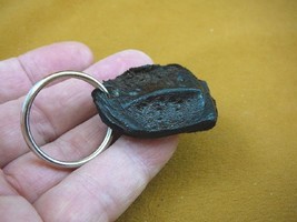 (g124-3) GATOR leather scute bone Aligator ALLIGATOR keychain skute key ... - £9.74 GBP