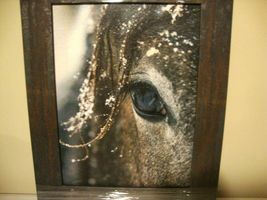 Horse Eye Wall Print in wood Frame image 3