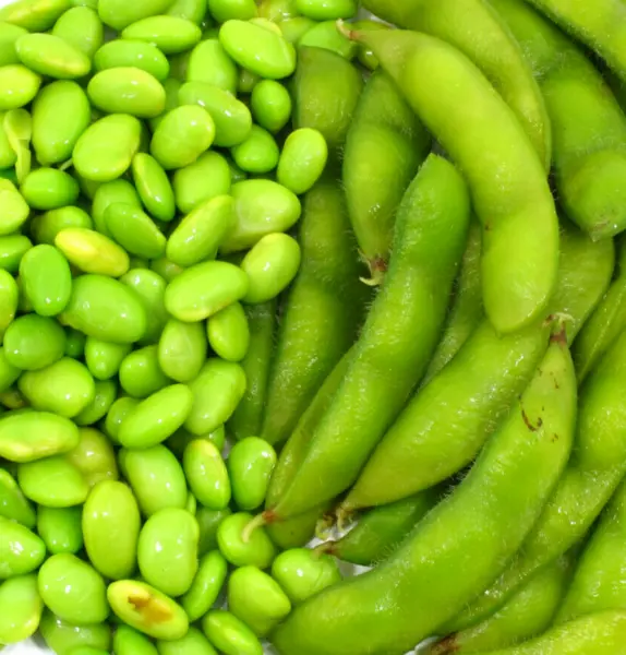 10 Edamame Soy Bean Seeds For Planting &quot;&quot;Be Sweet&quot;&quot; Asian Japanese Vege ... - £7.07 GBP
