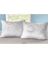 Stoneberry-Dream Supreme 2-pack Pillow Set Standard Spot clean - $51.60 CAD