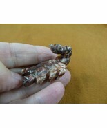 Y-SCO-13) little red SCORPION stone carving SOAPSTONE Peru love baby sco... - $162.31 MXN