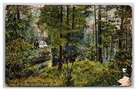 Tavolo Rock Towanda Pennsylvania Pa 1911 DB Cartolina S15 - £2.37 GBP