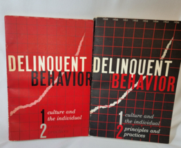 Delinquent Behavior  Kvaraceus V1 Culture &amp; Individual V2 Principles Psych PB - £8.34 GBP