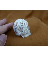 (SKULL-W57) Medium white full skeleton Skull figurine Bali antler crafte... - $142.22 CAD