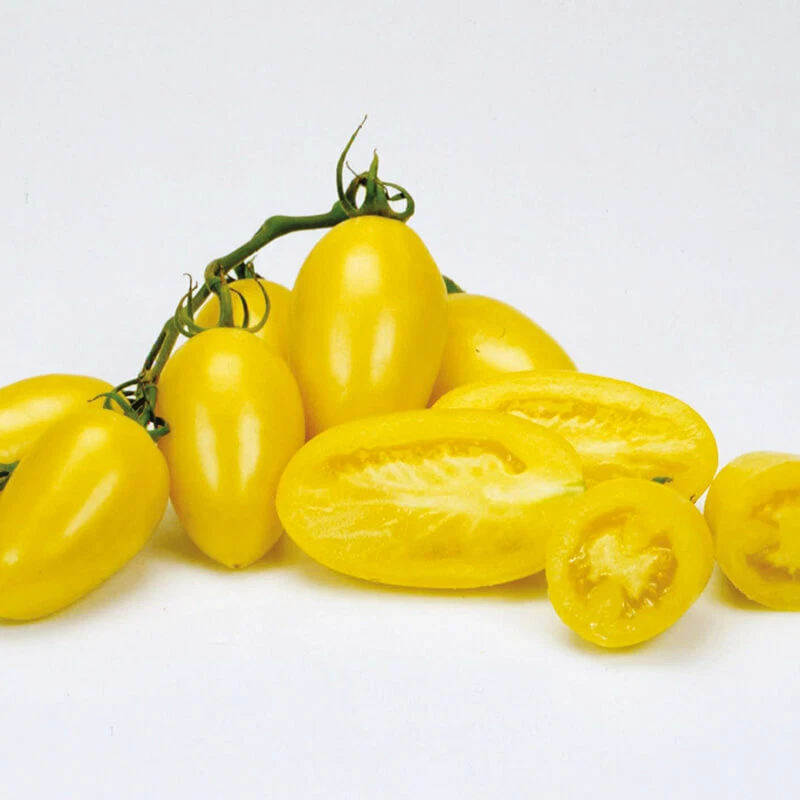 25 CREAM SAUSAGE TOMATO SEEDS HEIRLOOM FRESH HARVEST FOR GARDENS - $7.34