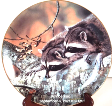 Raccoon Collector Plate Fascination Carl Brenders W S George Vintage 1989 - £22.42 GBP