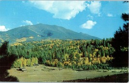 Golden Aspens San Francisco Peaks Flagstaff Arizona Postcard - £5.43 GBP