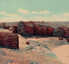 Drift Logs In Petrified Forest Desert Arizona Postcard Linen Vintage - $12.95