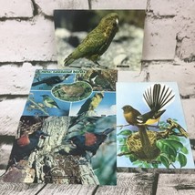 Vintage Tiki Card Postcards Birds Of New Zealand Wildlife Nature Collectible Lot - £7.73 GBP