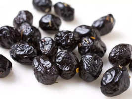 Semilir 10 Beldi Olive Seeds Usa Fast Shipping Fast Grow From Us - £7.08 GBP