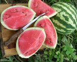 25 Crimson Sweet Watermelon Seeds Fast Shipping - $8.99