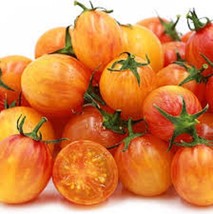 PWO 50 Seeds Sunrise Bumble Bee Tomato Tomatoe Vegetable Garden Edible Canning - £3.59 GBP