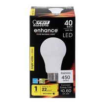 Feit A19 E26 (Medium) LED Bulb Bright White 40 Watt Equivalence - $8.95
