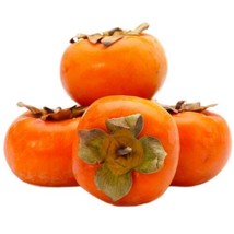 THJAR 30 Persimmon Seeds Organic Fruit Tree Seed Heirloom Diospyros - $9.98