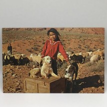 Navajo Girl With Her Sheep Dogs Vintage Postcard - £4.64 GBP