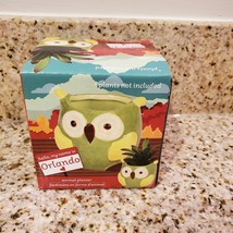 Green Owl Planter with Succulent, Ceramic Bird Plant Pot with live plant image 7
