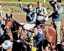 Dvd - 1987 Breeders&#39; CUP...FERDINAND/Alysheba/MIESQUE/Epitome/THEATRICAL/Groovy - £31.41 GBP